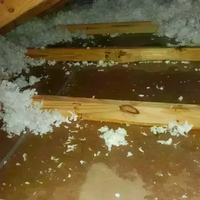 Attic Water Damage in Buffalo, SD