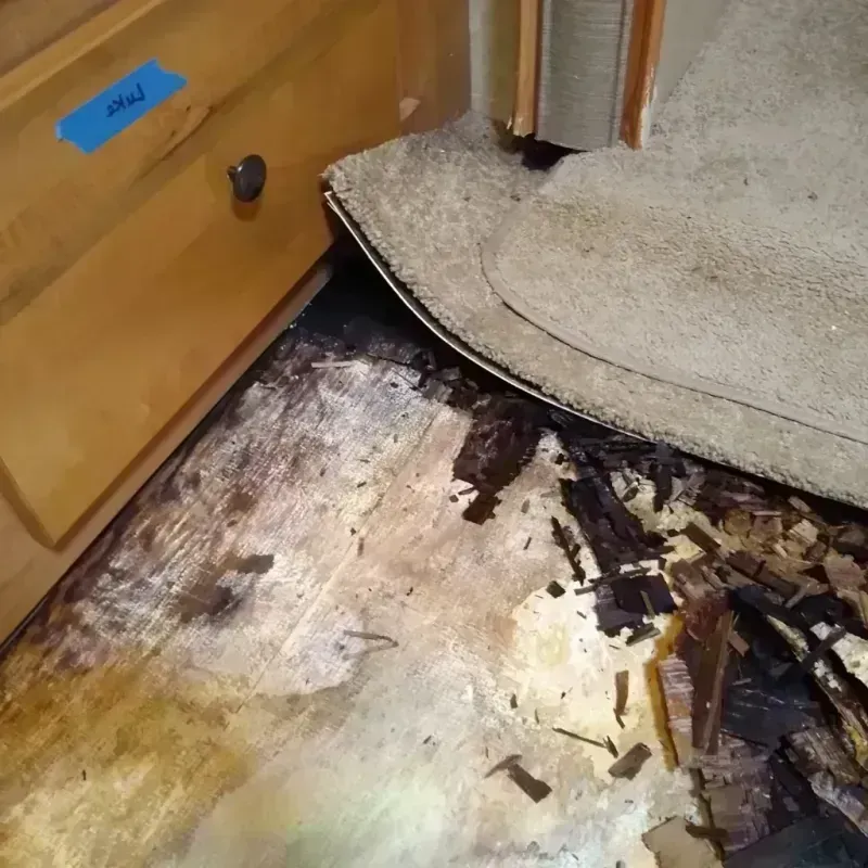 Best Wood Floor Water Damage Service in Buffalo, SD